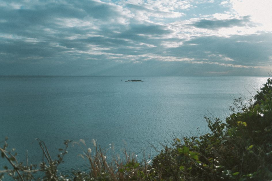 Ai-Nikkor-35mm-F2.8Sで撮影した写真_2