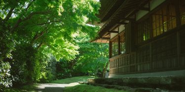 【写真スポット】神奈川県横浜市の庭園「三渓園」で撮影してみた