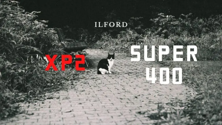 モノクロでも深みを生み出す「ILFORD XP2 SUPER400」レビューと