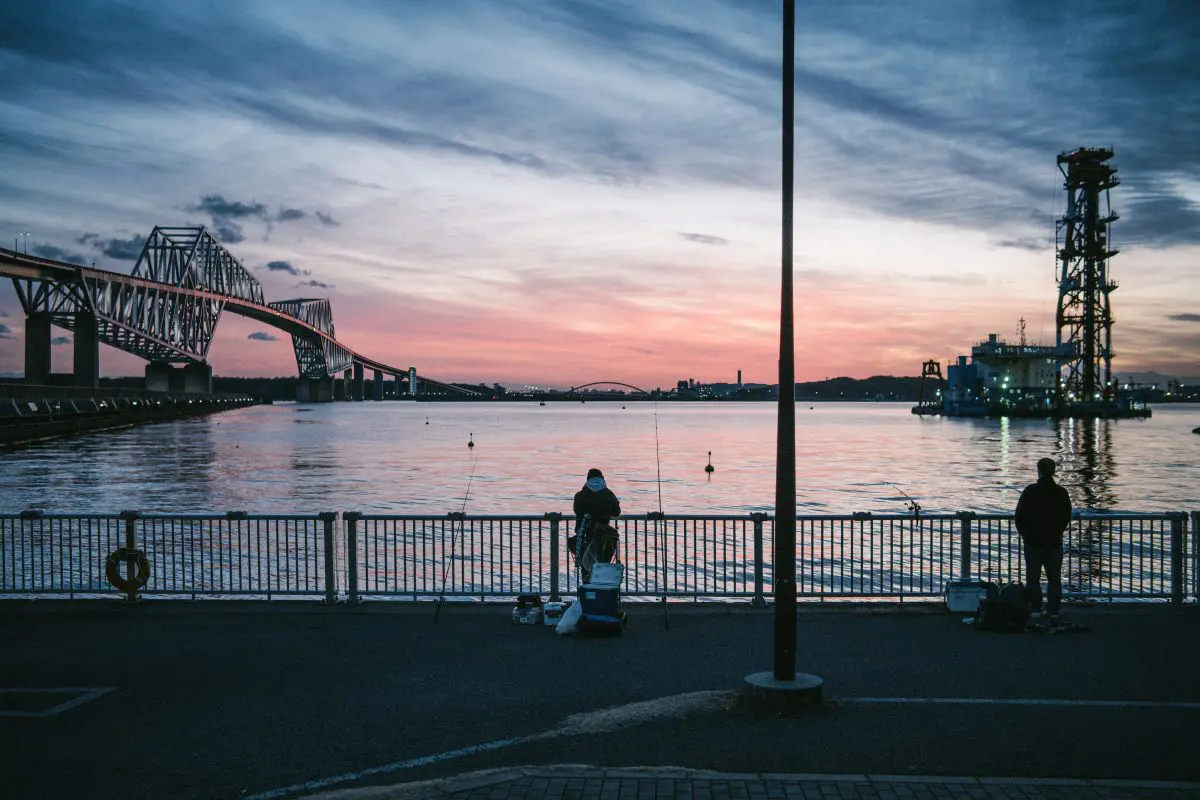 レンズ(単焦点) Yongnuo YN35mm F2Z DF DSM 710FyvDQi4L._AC_UF350,