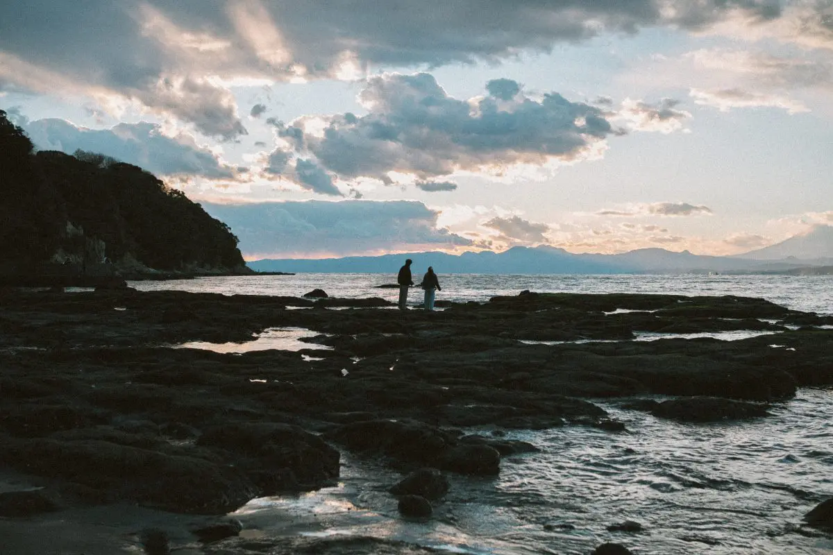 作例あり】VILTROX AF 35mm F1.7 Z Nikon Viltrox AF 35mm F1.7